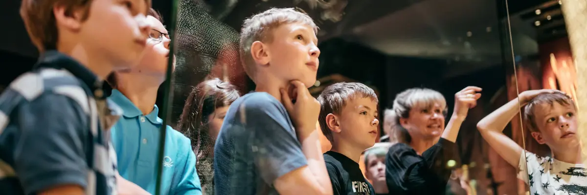 Eine Kindergruppe stehen vor einem Museumsexponat 