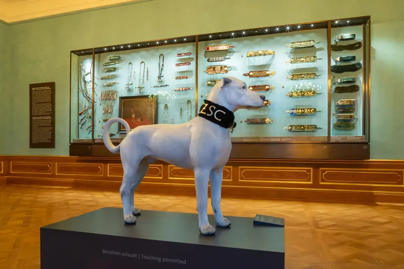 festlicher Saal mit Vitrinen und einem Hund in der Mitte